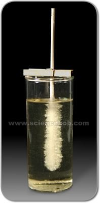 Make rock candy...best kids science project ever! You get to eat the results!