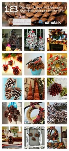 pine cone crafts on Hometalk      Life on Lakeshore Drive http://paulams.weebly.com/blog.html
